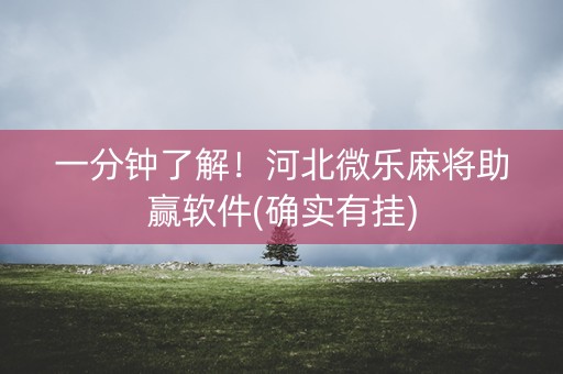 一分钟了解！河北微乐麻将助赢软件(确实有挂)