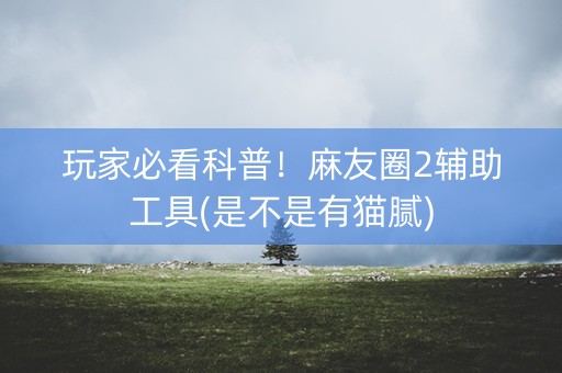玩家必看科普！麻友圈2辅助工具(是不是有猫腻)