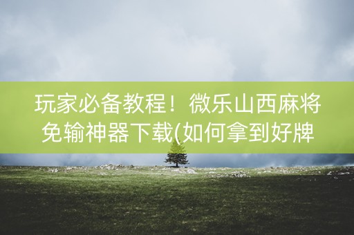 玩家必备教程！微乐山西麻将免输神器下载(如何拿到好牌)