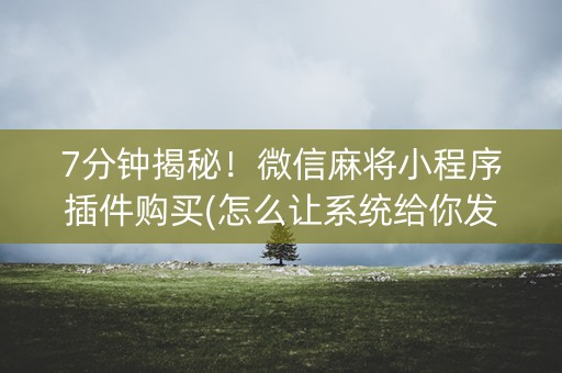 7分钟揭秘！微信麻将小程序插件购买(怎么让系统给你发好牌)