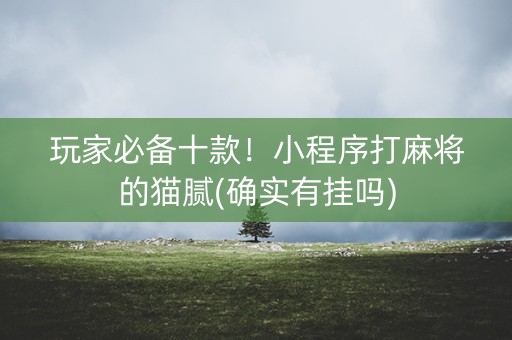 玩家必备十款！小程序打麻将的猫腻(确实有挂吗)