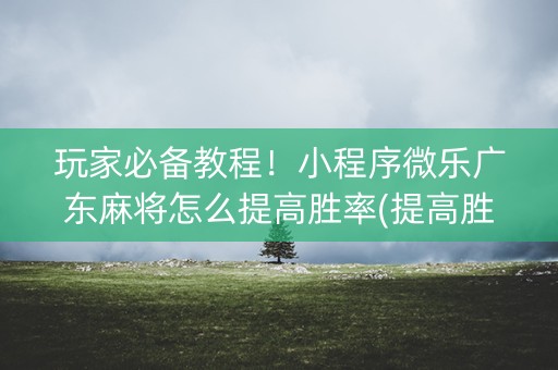 玩家必备教程！小程序微乐广东麻将怎么提高胜率(提高胜率的方法)