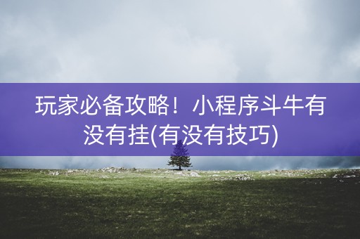 玩家必备攻略！小程序斗牛有没有挂(有没有技巧)