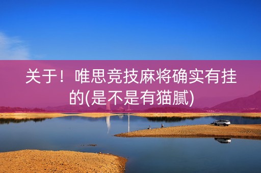 关于！唯思竞技麻将确实有挂的(是不是有猫腻)