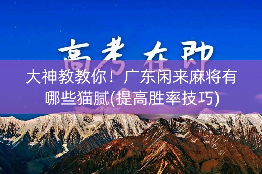 大神教教你！广东闲来麻将有哪些猫腻(提高胜率技巧)