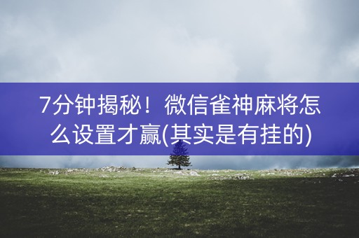 7分钟揭秘！微信雀神麻将怎么设置才赢(其实是有挂的)