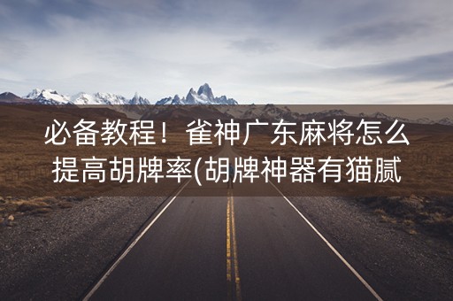 必备教程！雀神广东麻将怎么提高胡牌率(胡牌神器有猫腻吗)