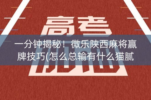 一分钟揭秘！微乐陕西麻将赢牌技巧(怎么总输有什么猫腻)