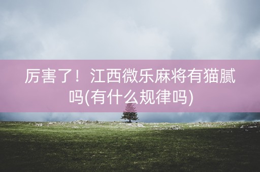 厉害了！江西微乐麻将有猫腻吗(有什么规律吗)