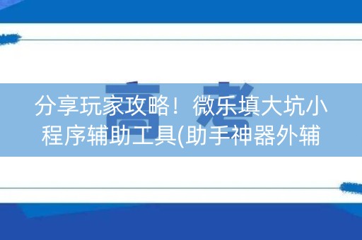 分享玩家攻略！微乐填大坑小程序辅助工具(助手神器外辅工具)