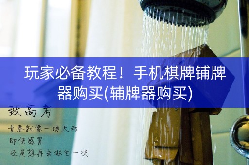 玩家必备教程！手机棋牌铺牌器购买(辅牌器购买)