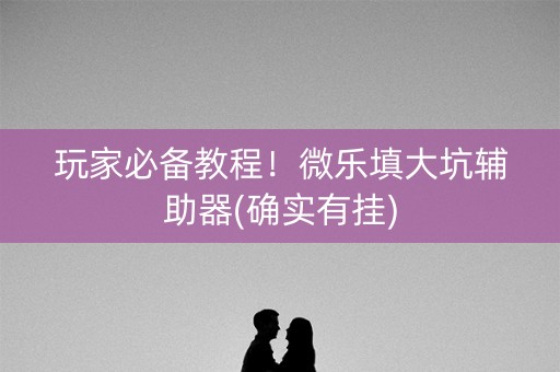 玩家必备教程！微乐填大坑辅助器(确实有挂)