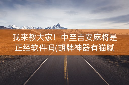 我来教大家！中至吉安麻将是正经软件吗(胡牌神器有猫腻吗)