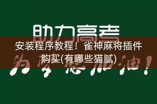 安装程序教程！雀神麻将插件购买(有哪些猫腻)