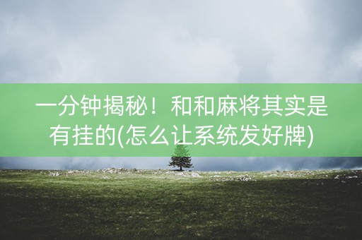 一分钟揭秘！和和麻将其实是有挂的(怎么让系统发好牌)