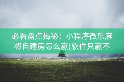 必看盘点揭秘！小程序微乐麻将自建房怎么赢(软件只赢不输)