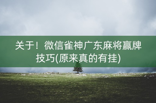 关于！微信雀神广东麻将赢牌技巧(原来真的有挂)