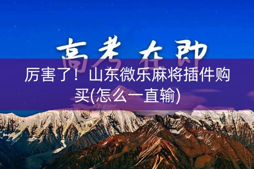 厉害了！山东微乐麻将插件购买(怎么一直输)