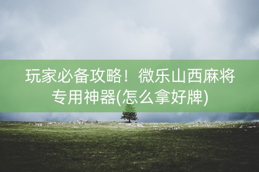 玩家必备攻略！微乐山西麻将专用神器(怎么拿好牌)