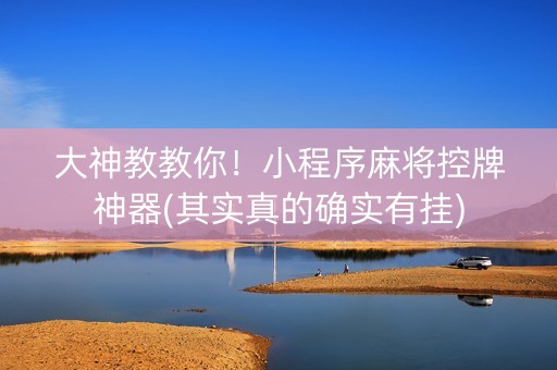 大神教教你！小程序麻将控牌神器(其实真的确实有挂)