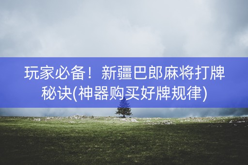 玩家必备！新疆巴郎麻将打牌秘诀(神器购买好牌规律)