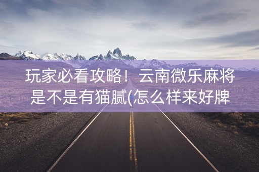 玩家必看攻略！云南微乐麻将是不是有猫腻(怎么样来好牌)