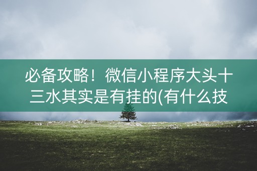 必备攻略！微信小程序大头十三水其实是有挂的(有什么技巧)