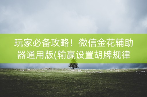 玩家必备攻略！微信金花辅助器通用版(输赢设置胡牌规律)