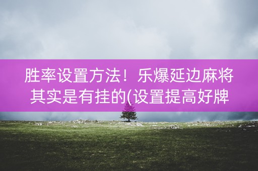 胜率设置方法！乐爆延边麻将其实是有挂的(设置提高好牌几率)