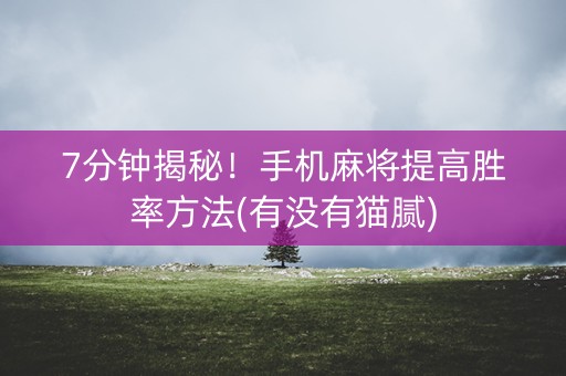 7分钟揭秘！手机麻将提高胜率方法(有没有猫腻)