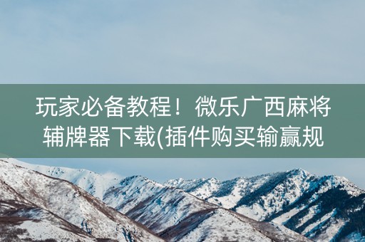 玩家必备教程！微乐广西麻将辅牌器下载(插件购买输赢规律)
