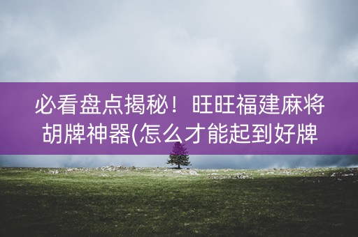 必看盘点揭秘！旺旺福建麻将胡牌神器(怎么才能起到好牌)