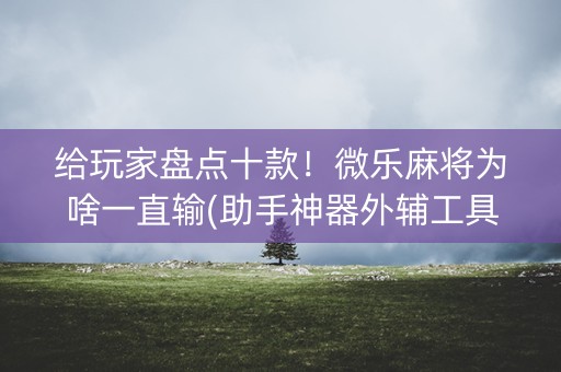 给玩家盘点十款！微乐麻将为啥一直输(助手神器外辅工具)