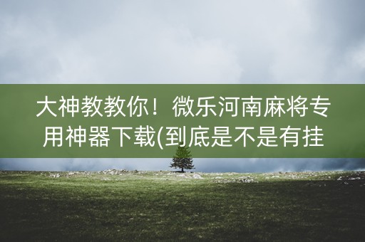 大神教教你！微乐河南麻将专用神器下载(到底是不是有挂)