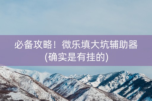 必备攻略！微乐填大坑辅助器(确实是有挂的)