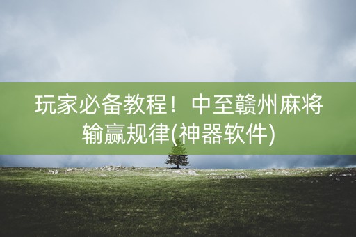 玩家必备教程！中至赣州麻将输赢规律(神器软件)