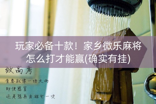 玩家必备十款！家乡微乐麻将怎么打才能赢(确实有挂)