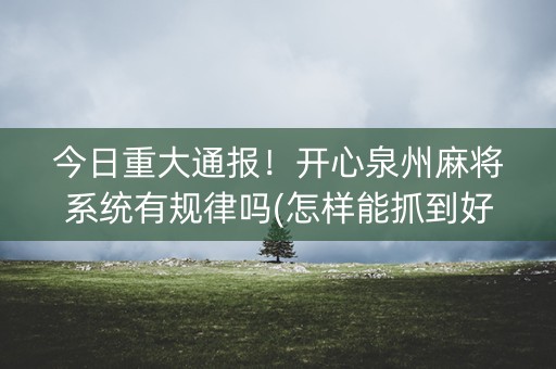 今日重大通报！开心泉州麻将系统有规律吗(怎样能抓到好牌)