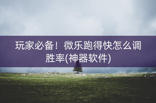 玩家必备！微乐跑得快怎么调胜率(神器软件)