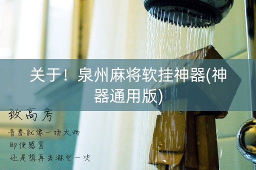 关于！泉州麻将软挂神器(神器通用版)