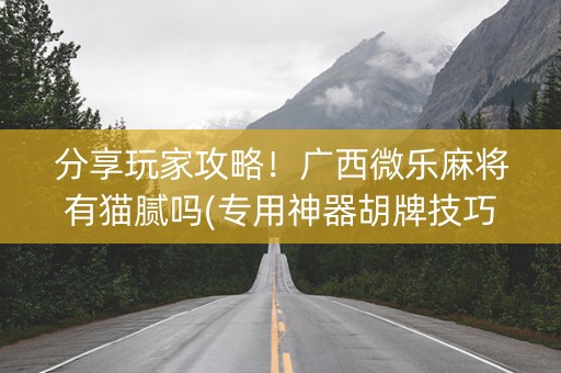 分享玩家攻略！广西微乐麻将有猫腻吗(专用神器胡牌技巧)