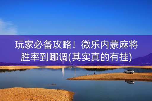 玩家必备攻略！微乐内蒙麻将胜率到哪调(其实真的有挂)