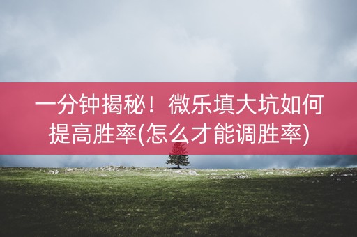 一分钟揭秘！微乐填大坑如何提高胜率(怎么才能调胜率)