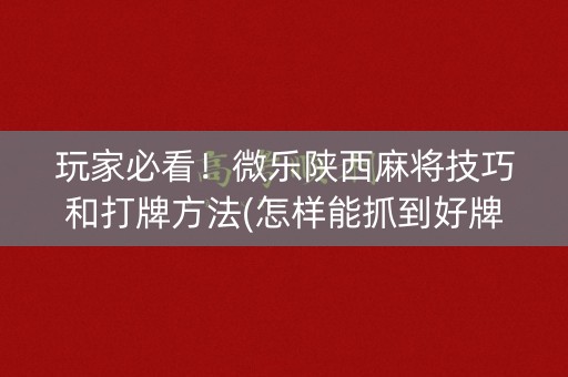 玩家必看！微乐陕西麻将技巧和打牌方法(怎样能抓到好牌)