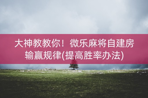 大神教教你！微乐麻将自建房输赢规律(提高胜率办法)