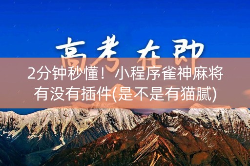 2分钟秒懂！小程序雀神麻将有没有插件(是不是有猫腻)