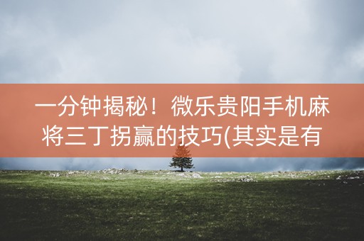 一分钟揭秘！微乐贵阳手机麻将三丁拐赢的技巧(其实是有挂确实有挂)