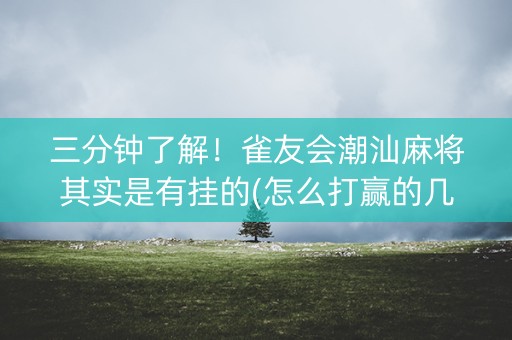 三分钟了解！雀友会潮汕麻将其实是有挂的(怎么打赢的几率大)