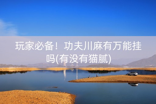 玩家必备！功夫川麻有万能挂吗(有没有猫腻)
