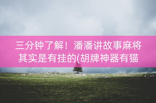三分钟了解！潘潘讲故事麻将其实是有挂的(胡牌神器有猫腻吗)